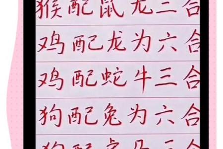 属相相合秘籍，免费解锁爱情密码