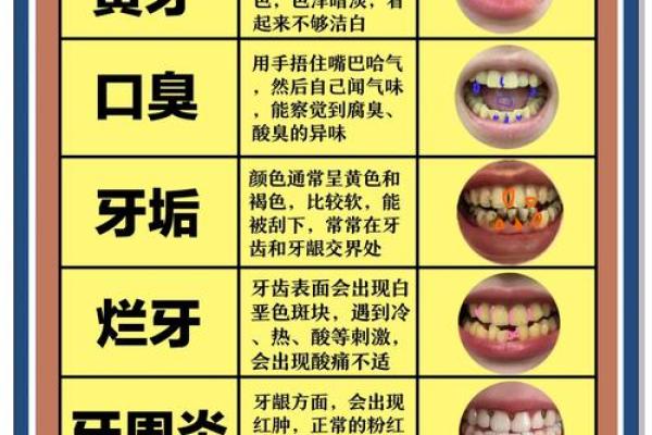 揭秘面相秘密：牙齿透露的健康与命运密码