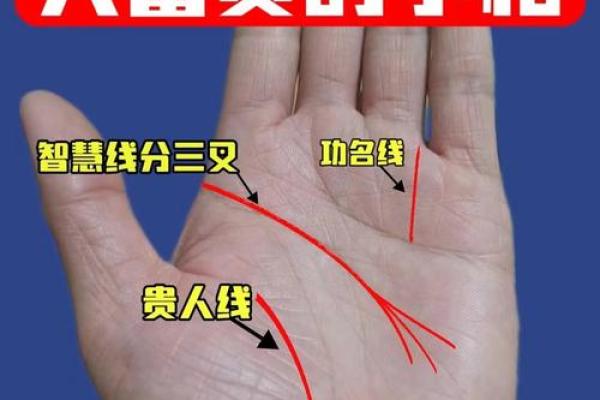 手相揭秘：因妻而贵，揭秘你命中的贵人伴侣