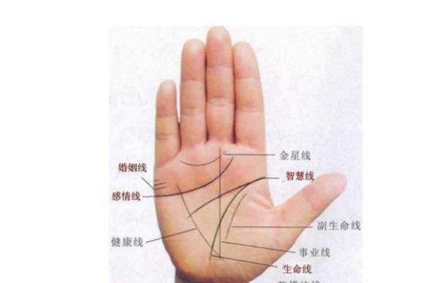 手相命运线断裂惊天内幕揭秘断线背后的惊人命运转折