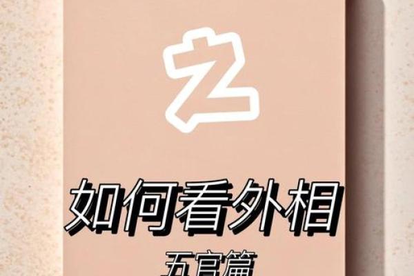 神秘面相解码：揭秘隐藏在五官之间的运势密码