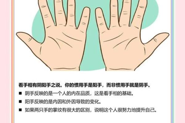 揭秘手相指纹图解大全，掌握命运密码