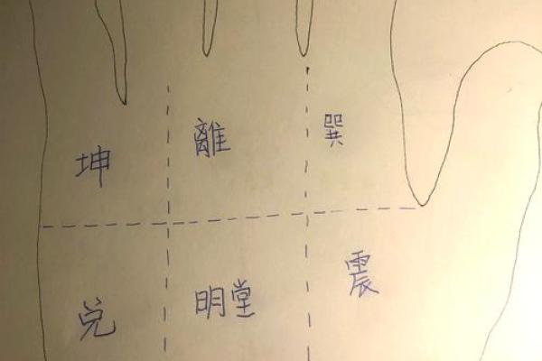 揭秘手相指纹图解大全，掌握命运密码