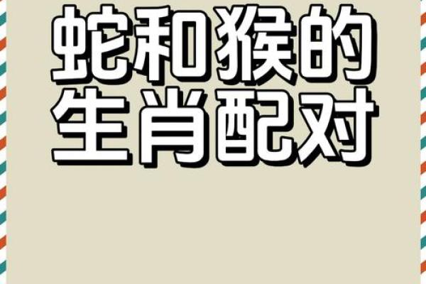 马猴配对大揭秘：看看它们的性格是否火花四溅