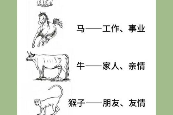 马猴配对大揭秘：看看它们的性格是否火花四溅