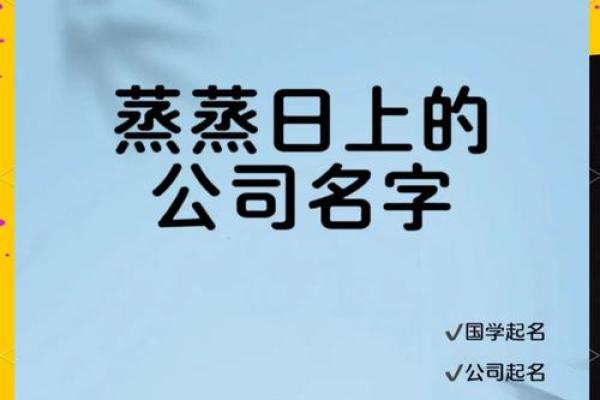 速冻公司命名技巧与建议