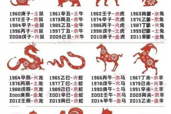 环字五行属性大揭秘，你知道它是属什么吗？
