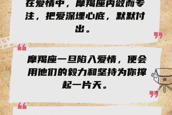 情感解码：处女座与狮子座的完美搭配？