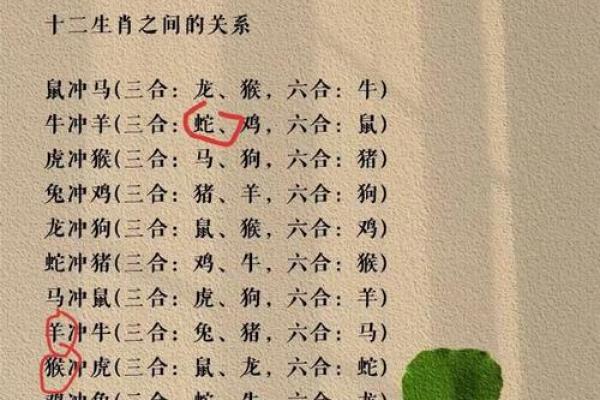 属相马与猴，爱情火花能否点燃？