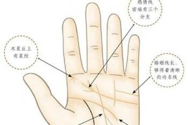 揭秘手相奥秘：看手相，精准预测你几岁会遇到正缘