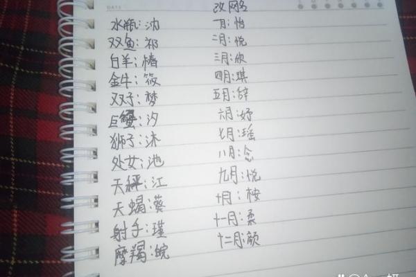 轩字在姓名中的独特寓意与命理分析