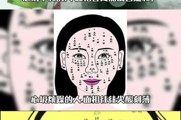 面相揭秘：一眼看穿运势，揭秘你脸上隐藏的财运密码