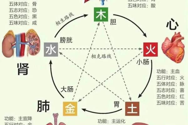 五行与鱼的神秘关联，你了解多少？