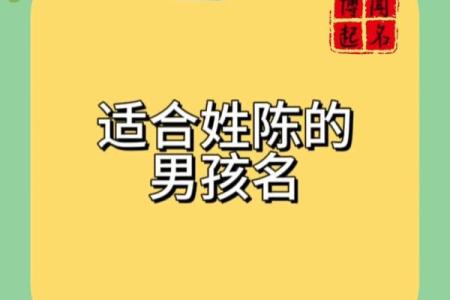 陈宝宝名字大全，寓意好又有特色