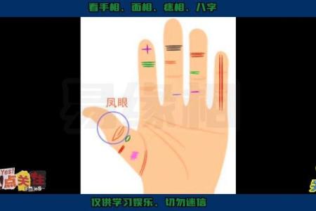 揭秘横铲手相：揭秘你命运的秘密