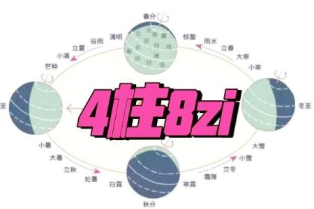 克桑拓木命，揭秘你的命运密码