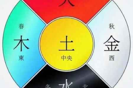 典字五行属金还是属土？