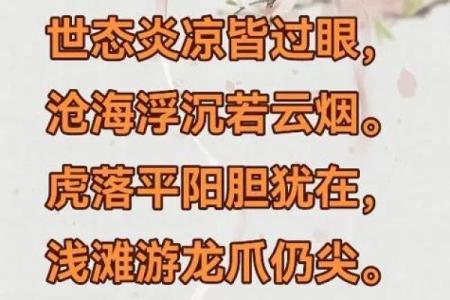 命格震世，风云再起