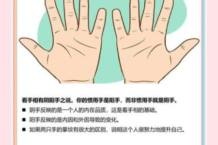 揭秘手相指纹图解大全，掌握命运密码