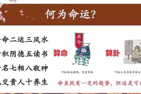 地支活藏秘术：风水布局的绝世秘诀，一招解锁家居财运