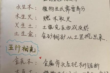 了解生字五行属性，字形学习从此不再难