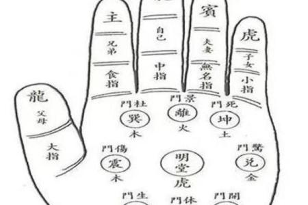掌上灵符：揭秘手相奥秘，测手相神器一触即达
