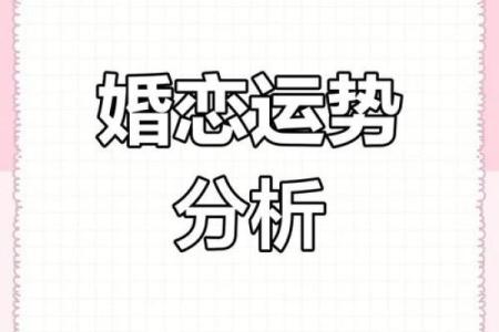 破解命理密码，揭示婚姻的终极走向