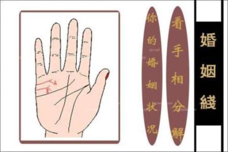 手相婚姻线揭秘：掌握命运，预见你的幸福归宿