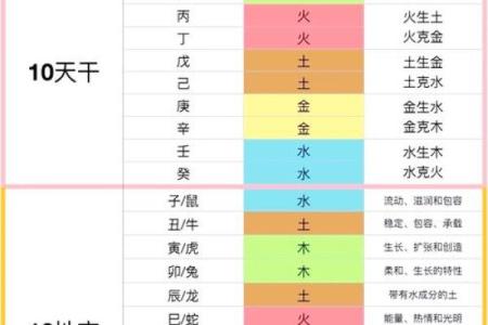 天干日计算技巧：从八字看人生运程