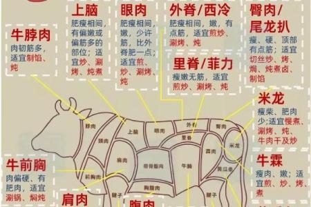 打造独特牛肉品牌名称的五大策略