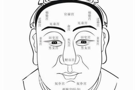 面疤面相揭秘：揭秘面疤背后的命运密码