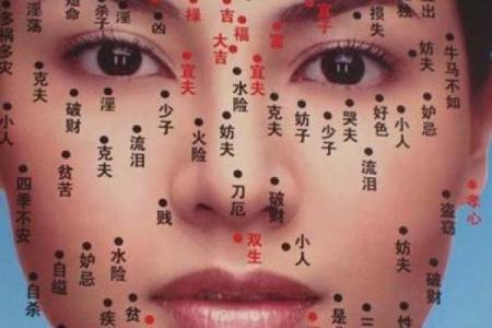 揭秘双生面相之谜：美丽双胞胎的面相解析，你了解多少？