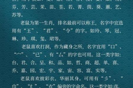 给鼠宝宝起个旺财又吉祥的名字