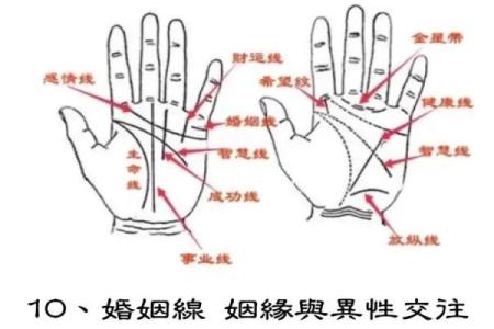揭秘手相奥秘：看手相，精准预测你几岁会遇到正缘