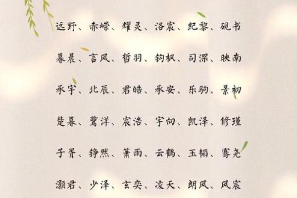 给男孩起个好名字，改变一生的命运！