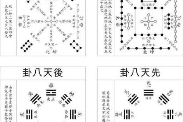 栖字五行解读：揭秘其背后的秘密