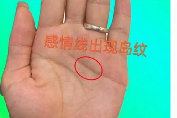 手相斗命运之谜，解锁人生秘密