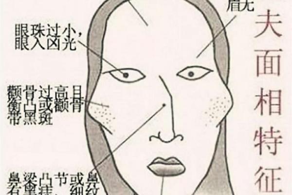 面相揭秘：一眼看穿命运