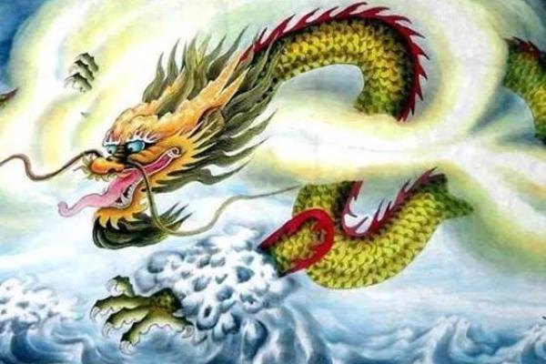 龙鸡配对揭秘：揭秘那些被忽视的负面影响