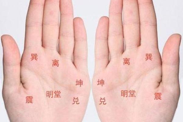 左手手相揭秘：后半生运势大揭秘