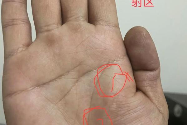 揭秘手相生命线的秘密：命运轨迹全解析，你的生命线隐藏着哪些人生秘密？