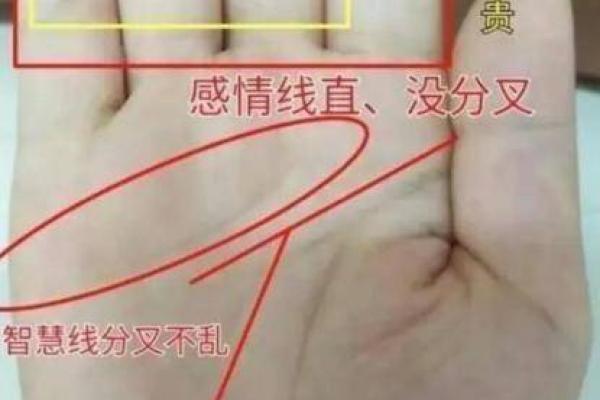 手相揭秘：看准这些特征，你的婚姻大事就在眼前