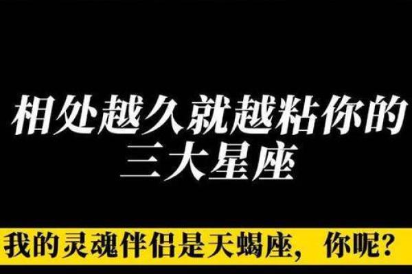 星座配对大揭秘：姓名密码揭示你的第一星座灵魂伴侣
