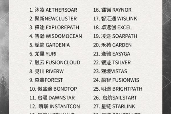 打造全球品牌！国外汽车服务公司起名秘诀