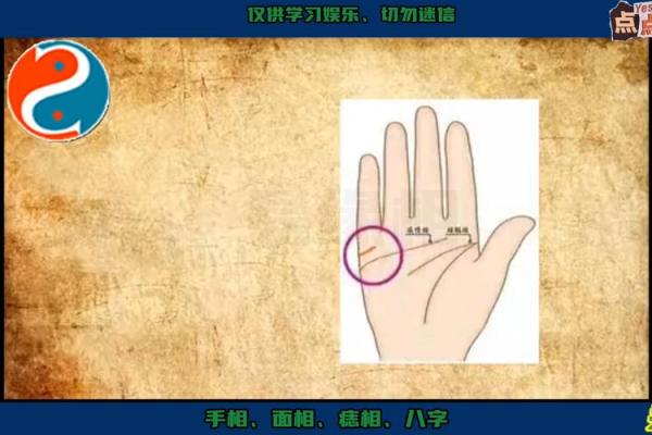 揭秘出轨女手相手相图解大全，让你一眼识破不忠迹象