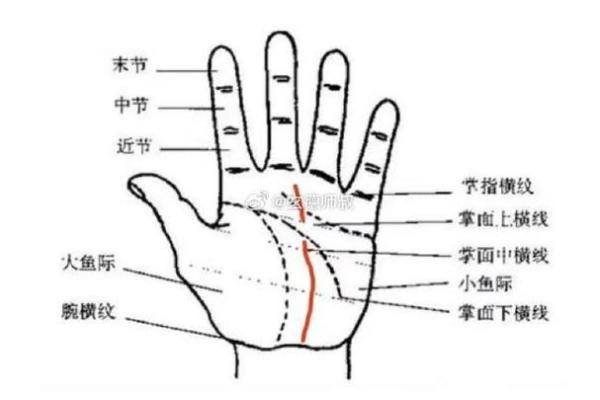 手相揭秘：事业线尾端4条线预示的惊人命运
