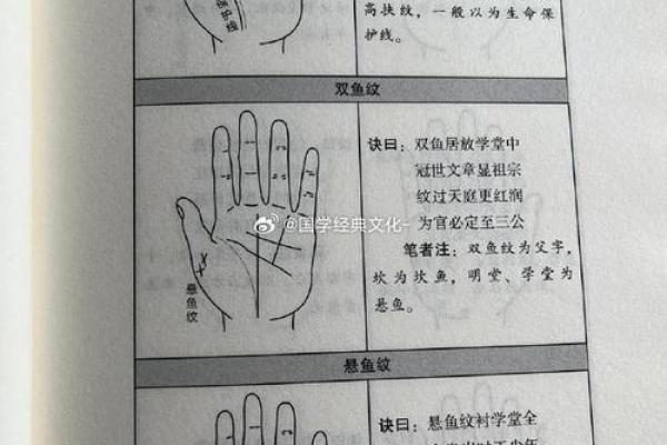 手相揭秘：揭秘命运密码，手相大师现场教学，带你走进神秘算命世界