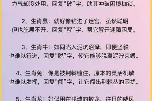 冬日降临，揭秘属相之谜