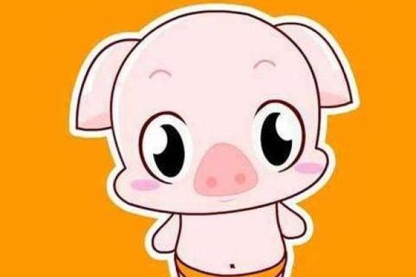 惊呆男猪女猴，竟成为史上最强CP？