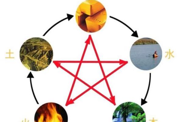 五行中寅的秘密，带你走向更好的未来